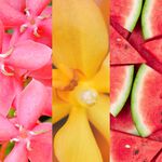 Yankee Candle® Essential Oil Pink Sands