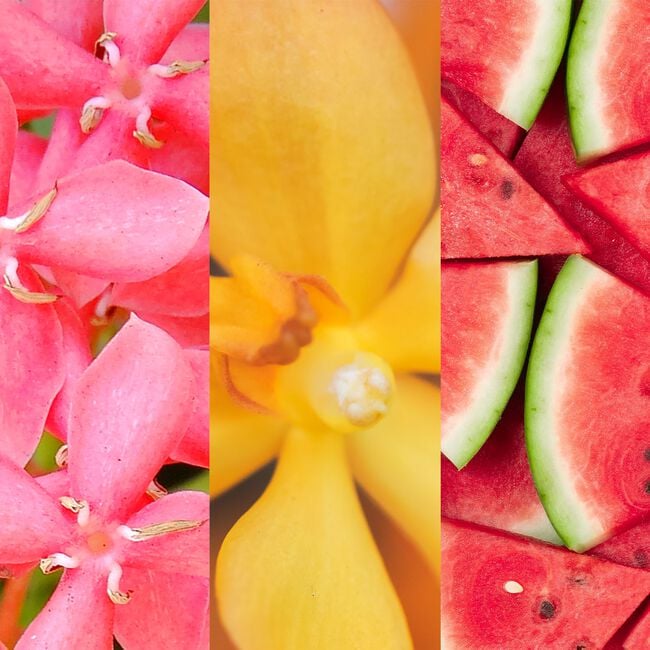 Yankee Candle® Essential Oil Pink Sands