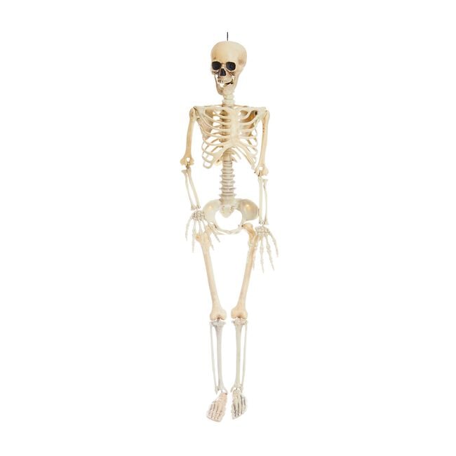 Hanging Realistic Skeleton 90cm