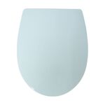 Glow In The Dark Slow Closing Toilet Seat