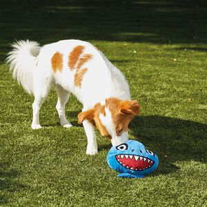 JML Chuckle Chums Shark Pet Toy