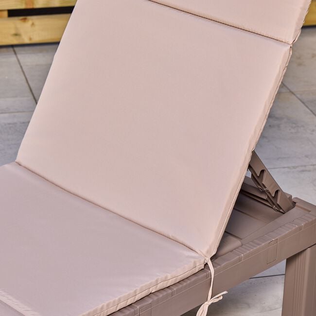 Foldable Sun Lounger With Cushion