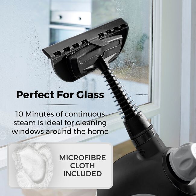 Tower THS10 Platinum Handheld Steam Cleaner