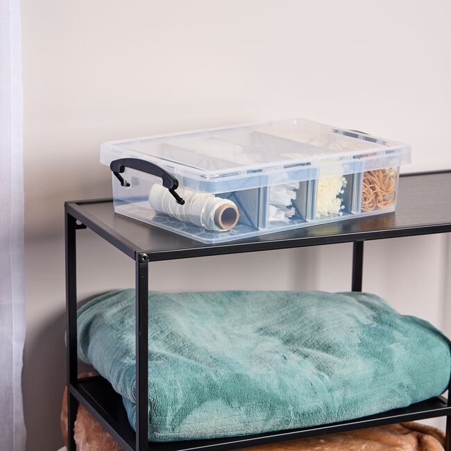 Storage Master 6L 3 Division Clear Storage Box