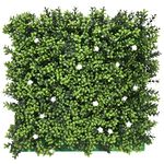 Boxwood Hedging Wall Panels 1M x 1M