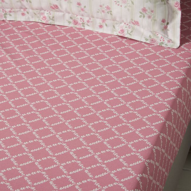 LILYROSE Single Fitted Sheet 