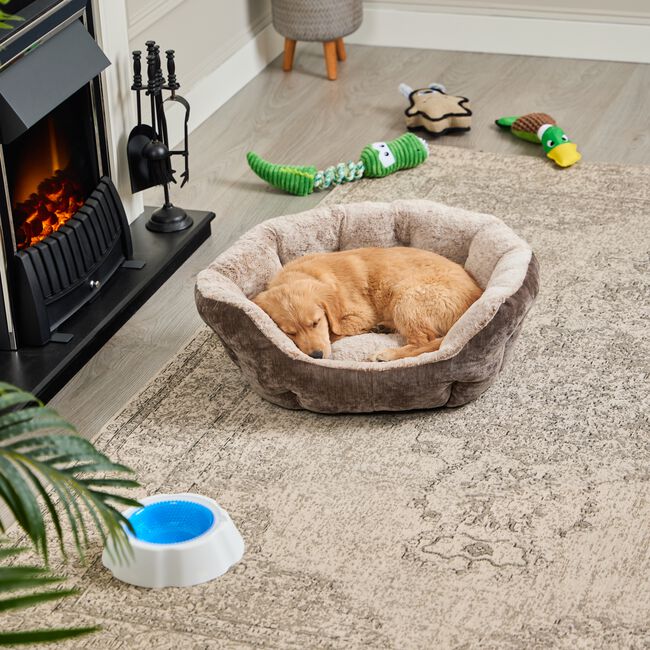 Zen Pet Bed Medium