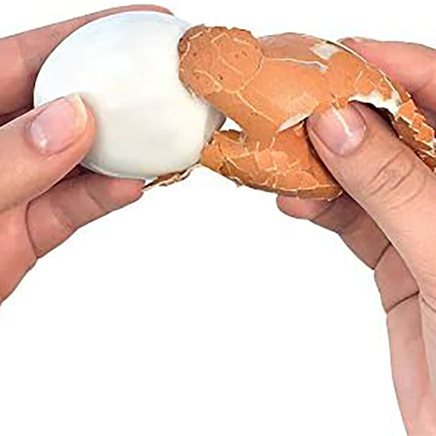 5 hard boiled egg peeler 5 hard boiled egg peeler