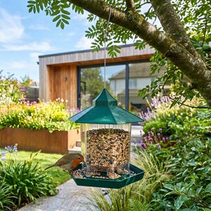 Progarden Green Bird Feeder