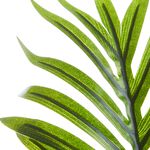 Areca Dark Green Palm Leaf