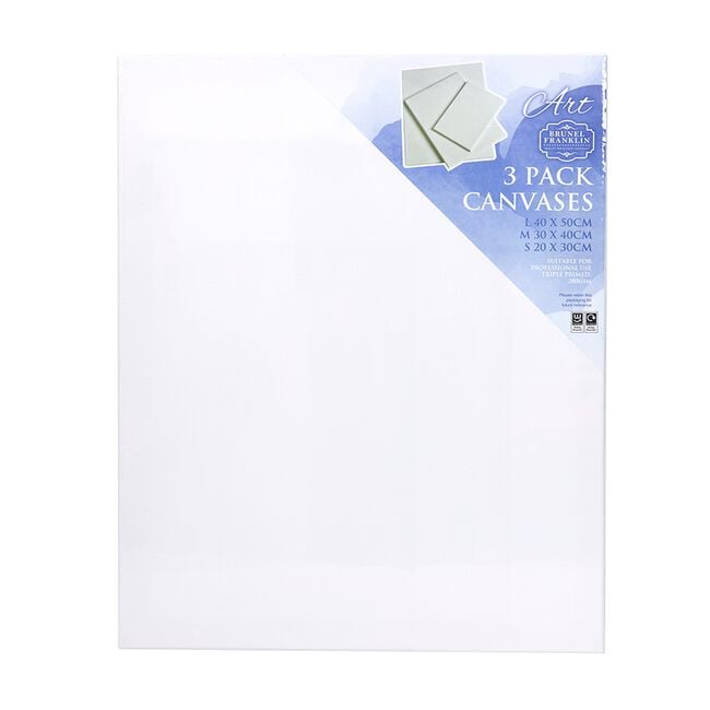 3 Pack Art Canvas 