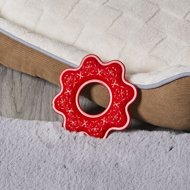 Durable Ring Dog Toy