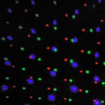 Outdoor Colour Changing Snow Falling Projector