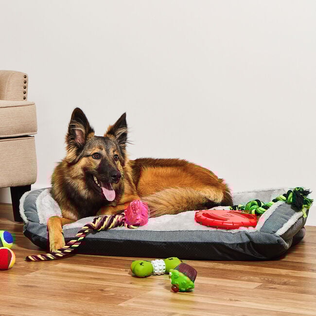 Perfect Paws Large Sofa Bed 