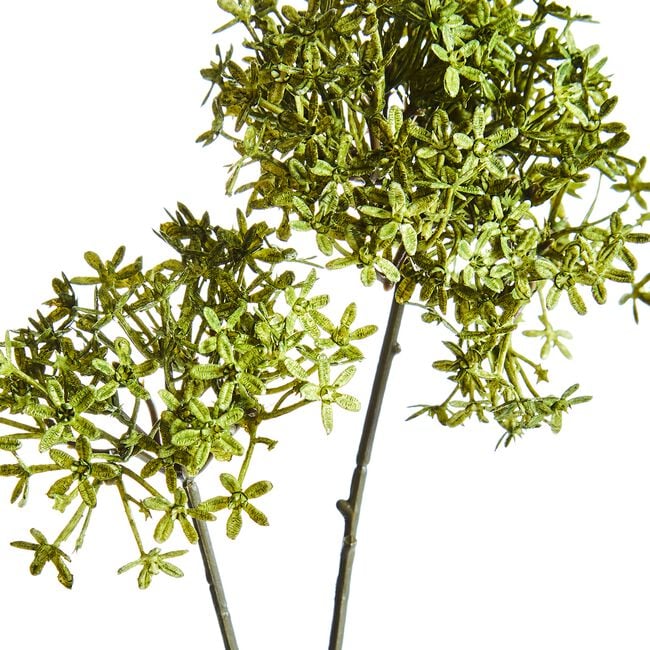 CROWN FLOWER BRANCH Olive 