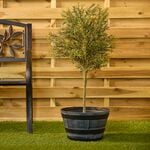 Antique Style Half Barrel Planter