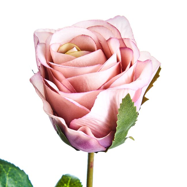SINGLE ROSE BUD Dusty Lavender