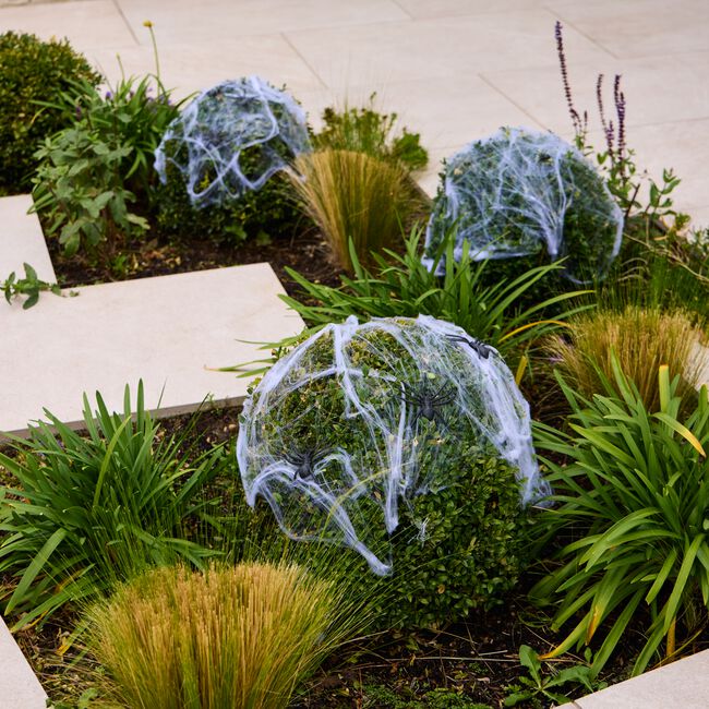 Halloween Spider Web with Spiders
