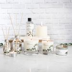 Wax Lyrical Fresh Eucalyptus Reed Diffuser - 100ml