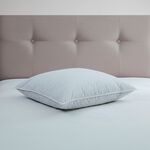 Luxe Duck Feather & Down Continental Pillow