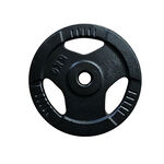 Cast Iron 5kg Weight Plate