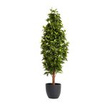 Artificial Bay Tree 1.2M