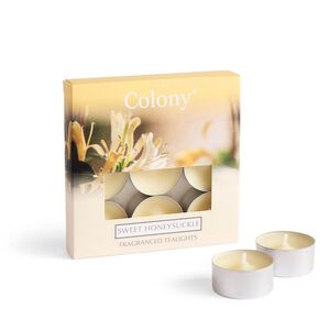 Colony 9 Scented Tealights - Sweet Honeysuckle