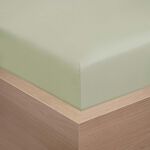 DOUBLE FITTED SHEET Brushed Cotton Twill Forest