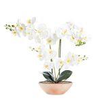 Artificial Orchid Flower 75cm