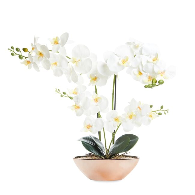 Artificial Orchid Flower 75cm