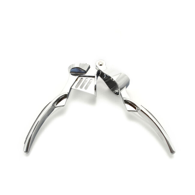 Apollo Alloy Chrome Garlic Press 