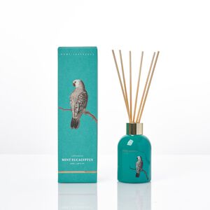 Ambianti Chinoiserie Mint Eucalyptus Reed Diffuser