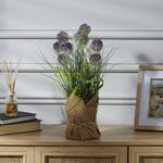 50CM Purple Onion Ball In Jute Bag