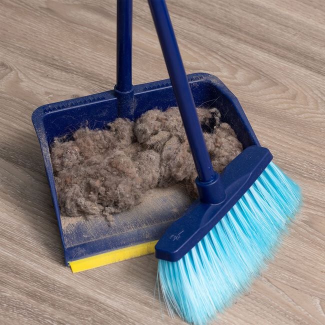 Flash Long Handle Dustpan Set