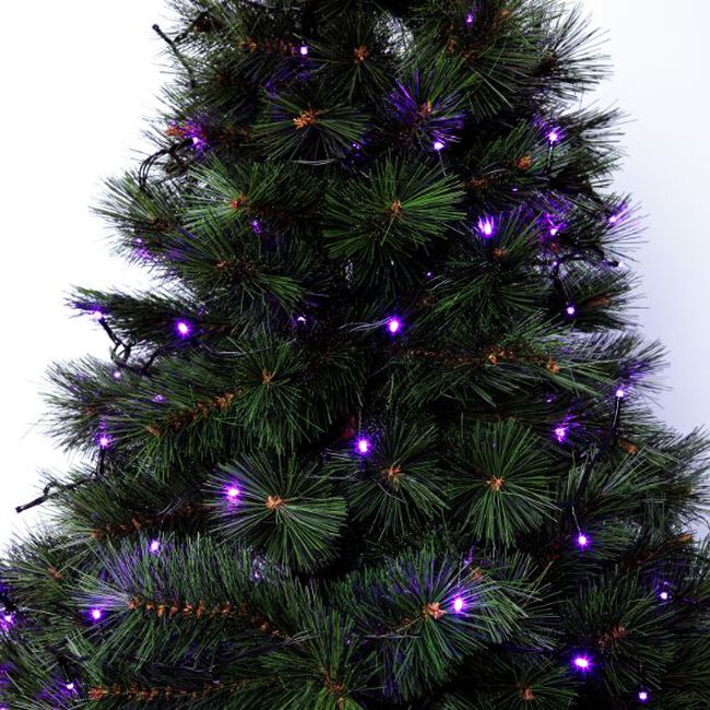 240 PURPLE Led String Lights
