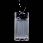 Ravenhead Winchester Set Of 2 Hiball Glasses