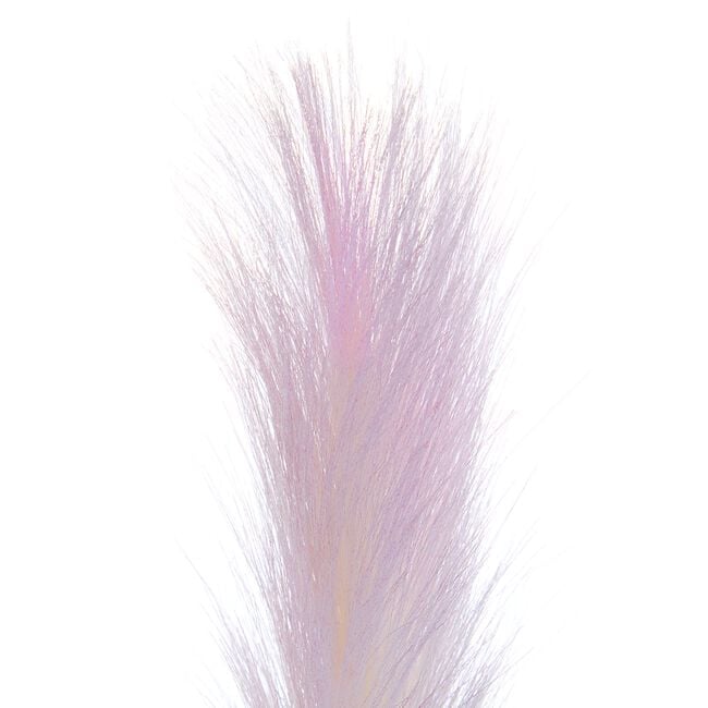 Pampas Single Stem Pale Pink 96cm