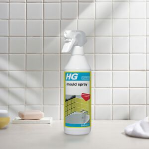 HG Mould Spray 0.5L
