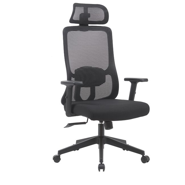 Ergonomic Office Chair