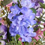 Elan Floral Mixed Delphinium Bouquet 54cm