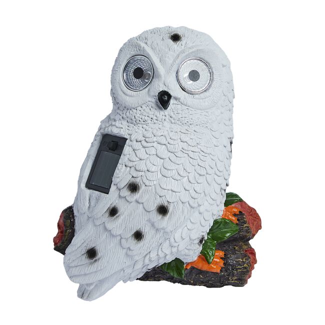 Bright Eye Bird Solar Light