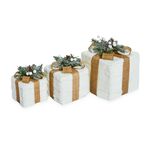 Set of 3 Snowy Presents with Lights