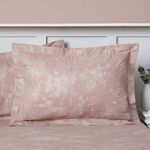 Nicole Day Bethann Oxford Pillowcase Pair