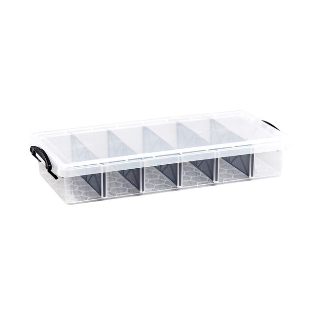 9L 5 Division Clear Storage Container