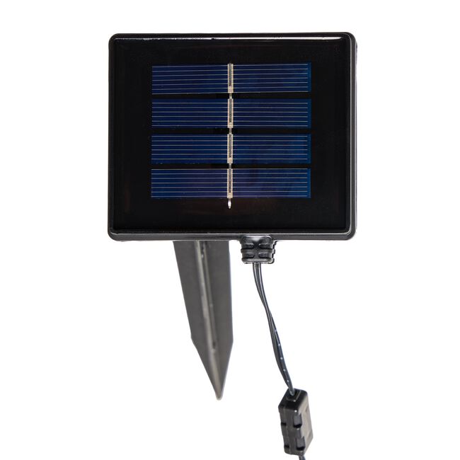 50 Paris Solar Bulb Lights