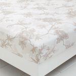 FRANCIS Single Fitted Sheet 