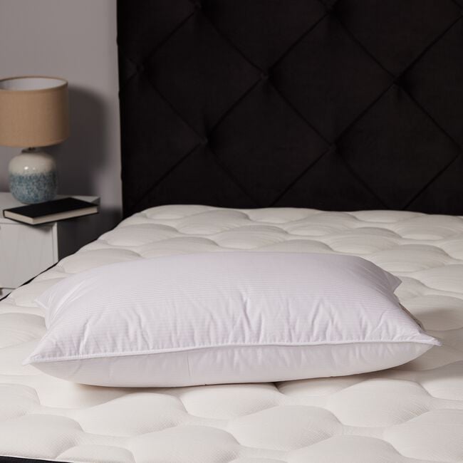 Duchess Collection Duck Feather & Down Pillow