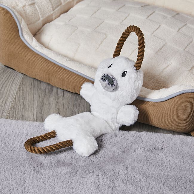 Bear Soft Pet Toy