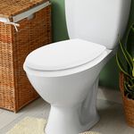 Plain White Toilet Seat