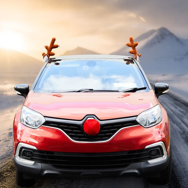 Reindeer Car Kit